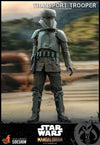 Hot Toys Star Wars The Mandalorian™ Transport Trooper™ TMS030 1/6th Scale Collectible Figure