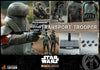 Hot Toys Star Wars The Mandalorian™ Transport Trooper™ TMS030 1/6th Scale Collectible Figure